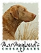 logo_small